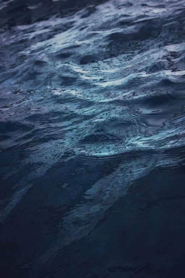 宝利配资 价值驱动型并购重组浪潮袭来，陆家嘴金融沙龙热议破局之道