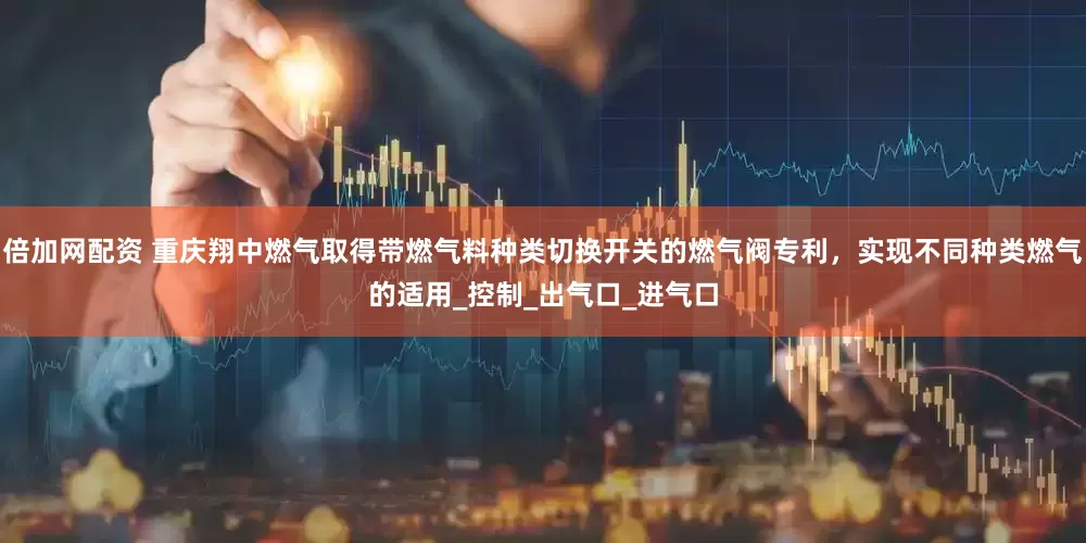 倍加网配资 重庆翔中燃气取得带燃气料种类切换开关的燃气阀专利，实现不同种类燃气的适用_控制_出气口_进气口