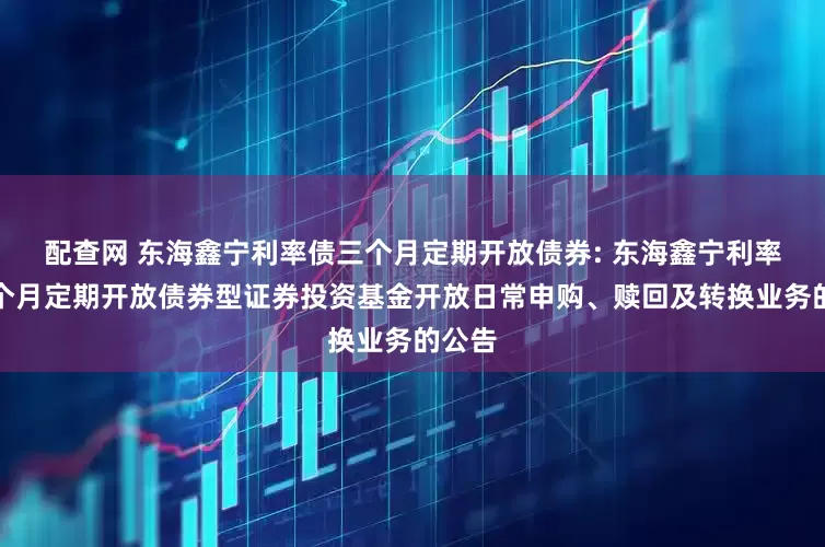 配查网 东海鑫宁利率债三个月定期开放债券: 东海鑫宁利率债三个月定期开放债券型证券投资基金开放日常申购、赎回及转换业务的公告