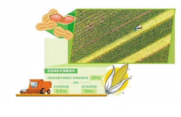 盛瑞德优配 河南 连阴雨里抢秋粮